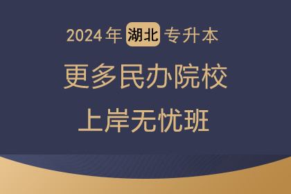 2024更多民办院校直通车（点击咨询）